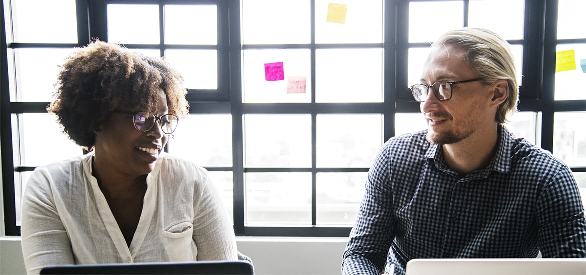 Desarrollo — portal corporativo